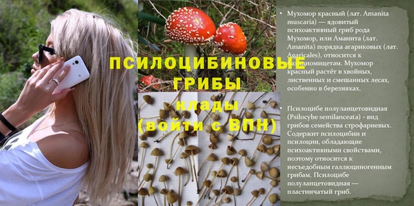 MDMA Premium VHQ Горняк