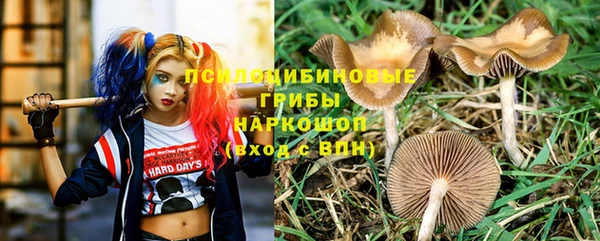 каннабис Горнозаводск